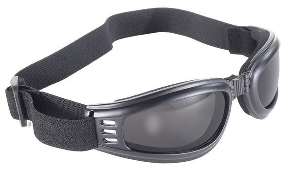 4520 Nomad Goggle Black Frame- Smoke Lens | Goggles