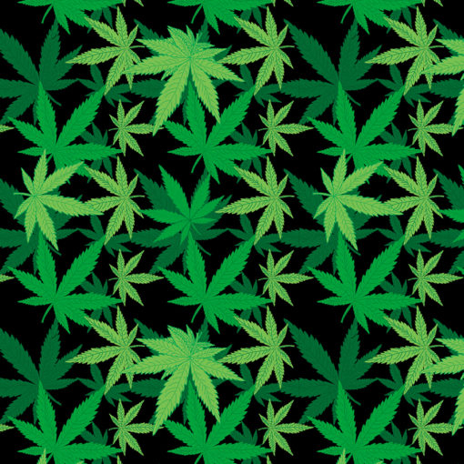 BD2510 Bandana Cannabis | Bandanas